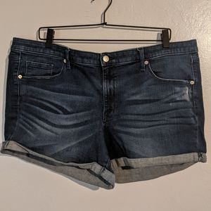Midrise Cuffed Shorts